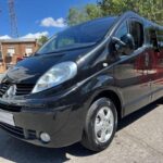 
										RENAULT Trafic 2.0 dCi 115 CV full									