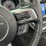 
										FORD – Mustang – Convertible 2.3 EcoBoost 233 kWAut. full									