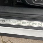 
										FORD – Mustang – Convertible 2.3 EcoBoost 233 kWAut. full									