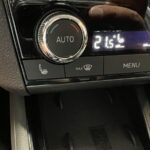 
										SKODA – Kamiq 1.6 TDI Style DSG full									