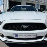 
										FORD – Mustang – Convertible 2.3 EcoBoost 233 kWAut. full									