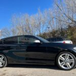 
										BMW – Serie 1 – M135i xDrive 3p Aut. full									